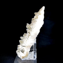 Load image into Gallery viewer, Calcite w/Pyrite
