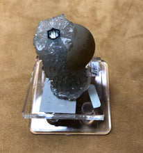 Load image into Gallery viewer, Fluorite on Quartz (Stalactite)