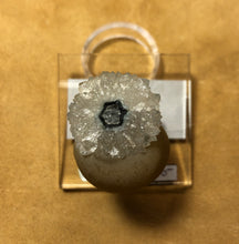 Load image into Gallery viewer, Fluorite on Quartz (Stalactite)