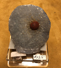 Load image into Gallery viewer, Fluorite on Quartz